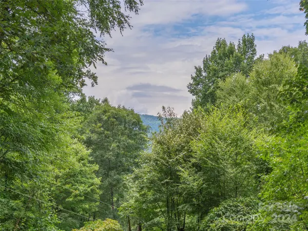 1164 Mount Chalet RD, Canton, NC 28716