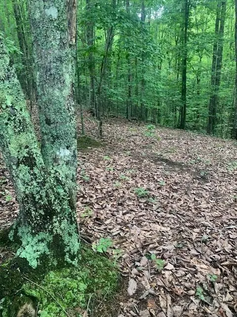 Lot 52 Trailing Woods DR #52, Bostic, NC 28018