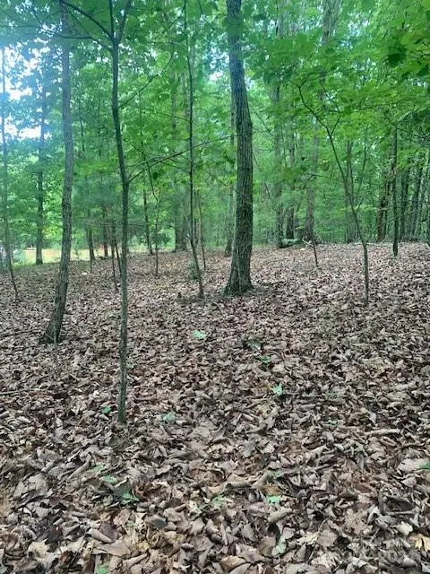 Lot 52 Trailing Woods DR #52, Bostic, NC 28018