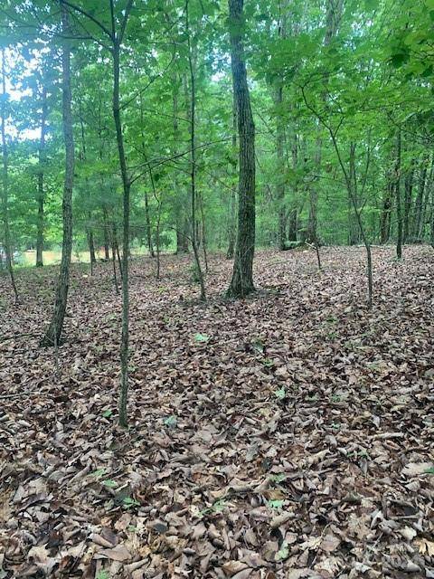 Lot 52 Trailing Woods DR #52, Bostic, NC 28018