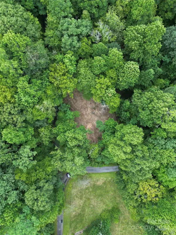 TBD Woodchuck LN #17D, Brevard, NC 28712