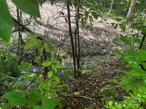 TBD Woodchuck LN #17D, Brevard, NC 28712