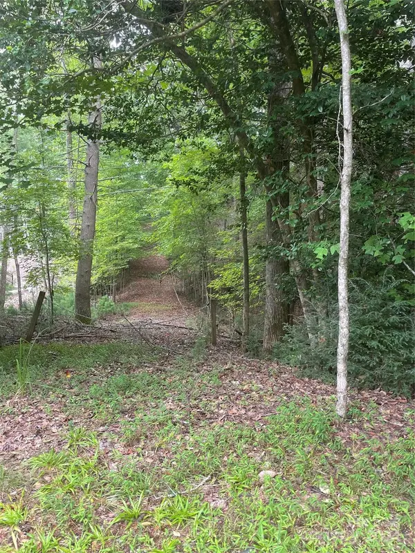 283 Dockside DR #10, Nebo, NC 28761