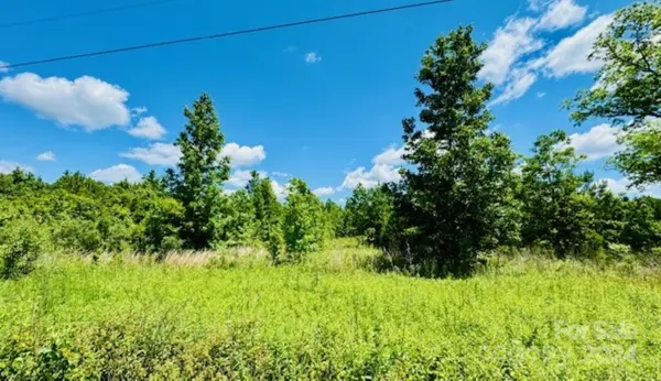 NA Hwy 9 HWY, Clio, SC 29525