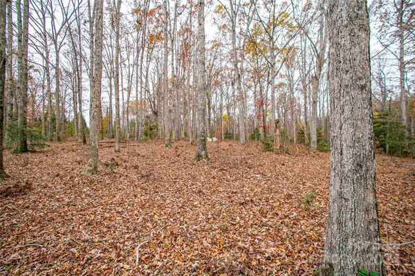 0 New Covenant WAY, Ellenboro, NC 28040