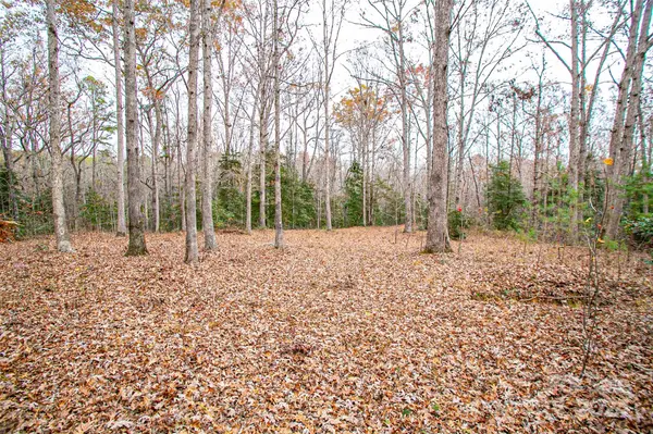 0 New Covenant WAY, Ellenboro, NC 28040