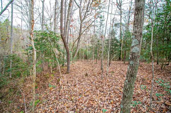 0 New Covenant WAY,  Ellenboro,  NC 28040