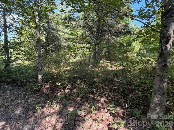 420 Southern WAY, Nebo, NC 28761