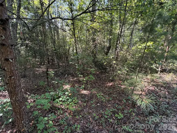 420 Southern WAY, Nebo, NC 28761