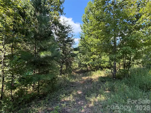 420 Southern WAY, Nebo, NC 28761