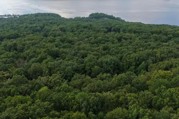 1 Bluff Road, South Pittsburg, TN 37380