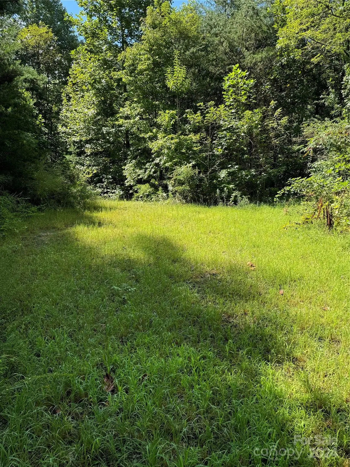 0 Green Birch DR, Bryson City, NC 28713