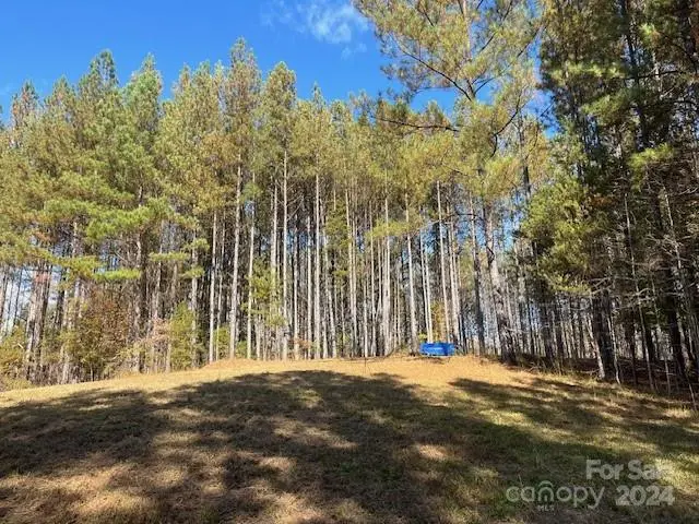 00 Destiny DR #8, Mill Spring, NC 28756