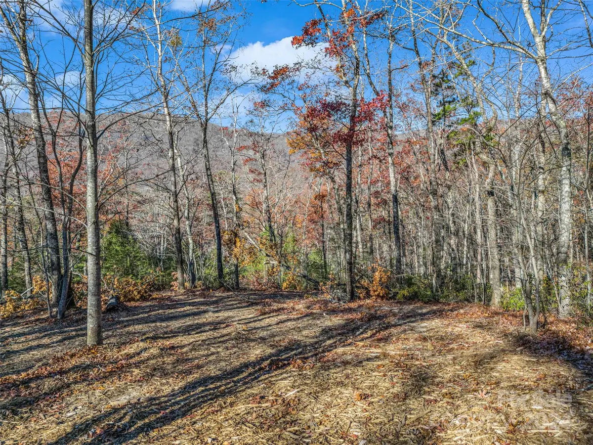 144 Wee Burn CV, Mill Spring, NC 28756