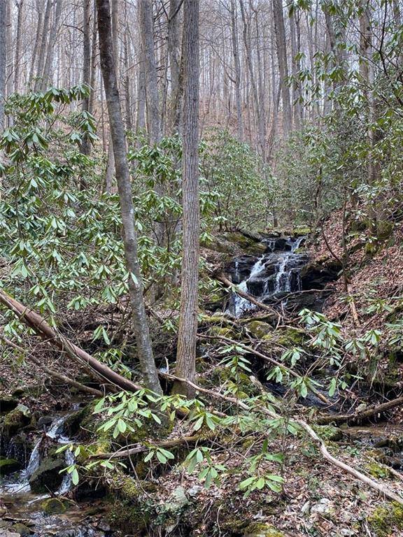 3199 High Shoals RD #14, Lenoir, NC 28645