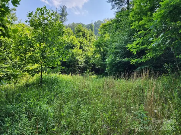 00 Hickory Nut Ridge RD, Burnsville, NC 28714