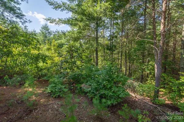 1035 Hawksbill DR #2, Morganton, NC 28655