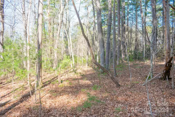 TBD Two Brooks TRL, Fletcher, NC 28732