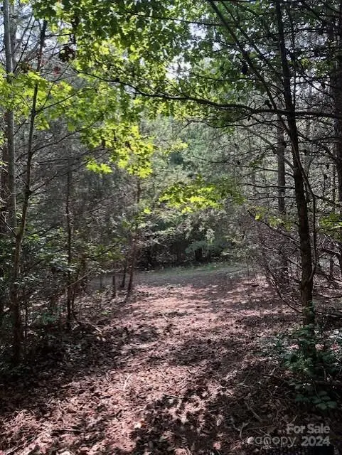 0 NC 120 HWY, Cliffside, NC 28024