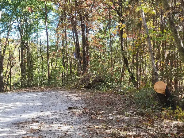 00 Persimmon Ridge RD, Cleveland, SC 29635