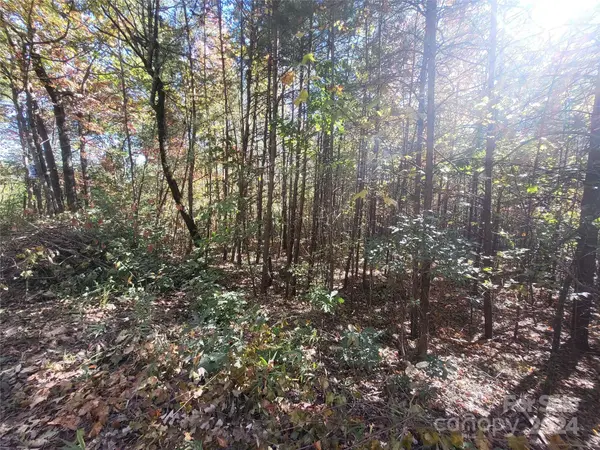 00 Persimmon Ridge RD, Cleveland, SC 29635