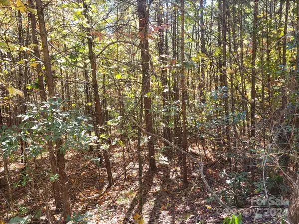 00 Persimmon Ridge RD, Cleveland, SC 29635
