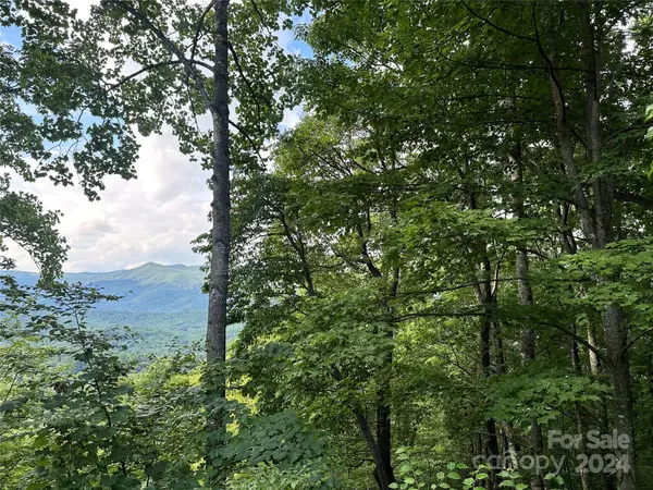 00000 Medford DR #25 & 26, Fairview, NC 28730