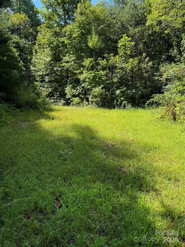 0 Green Birch DR, Bryson City, NC 28713