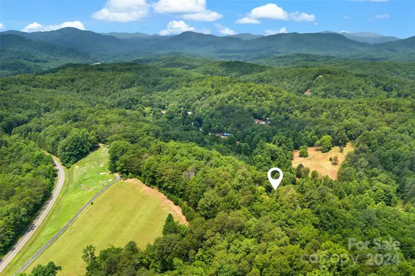 99999 Davistown Church RD, Old Fort, NC 28762