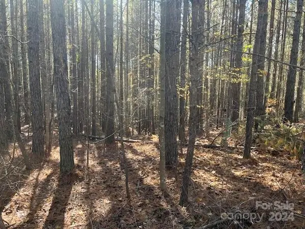 00 Destiny DR #8, Mill Spring, NC 28756