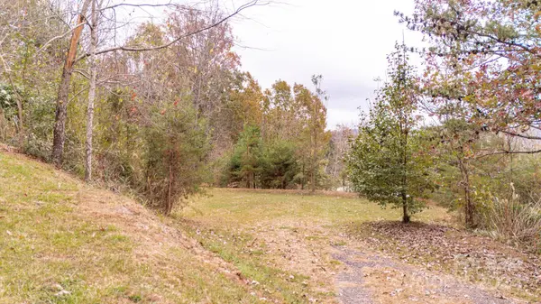 99999 Perrion AVE,  Weaverville,  NC 28787