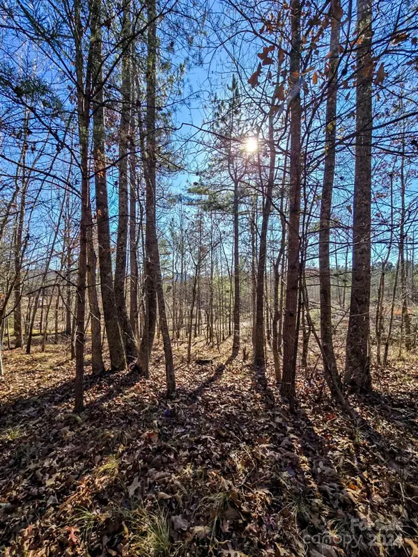 00 Vein Mountain RD, Nebo, NC 28761