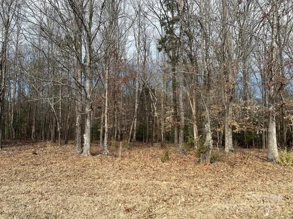 0 Obenosky RD, Van Wyck, SC 29744