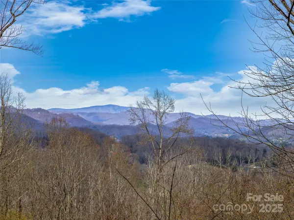 116 Cracker TRL, Clyde, NC 28721