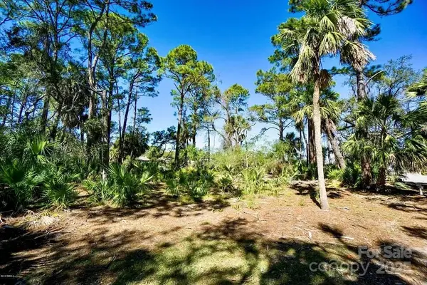 820 Speckled Trout RD, Fripp Island, SC 29920