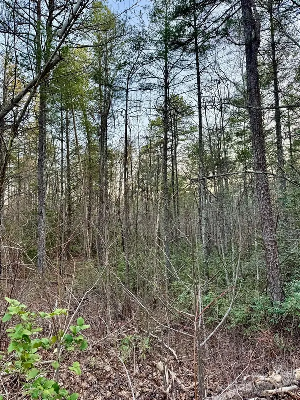 TBD Quiet Creek LN, Lenoir, NC 28645