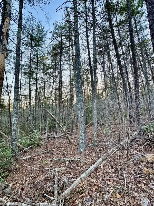 TBD Quiet Creek LN, Lenoir, NC 28645