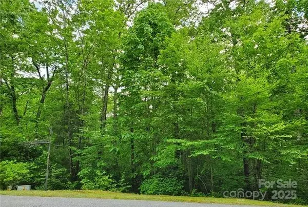 PH1 G9 Mills LN, Sapphire, NC 28774