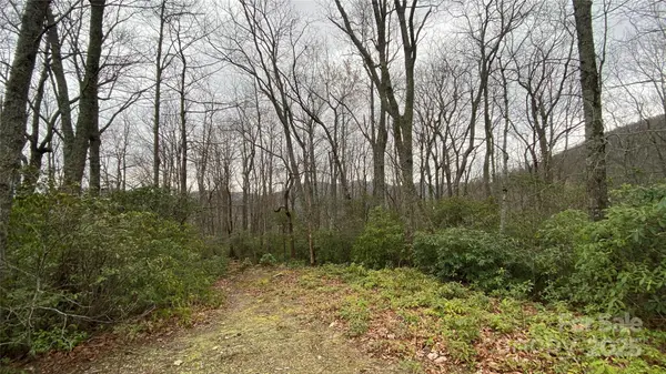 9999 Rocky Falls DR #6, Black Mountain, NC 28711