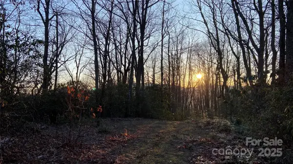 9999 Rocky Falls DR #6, Black Mountain, NC 28711