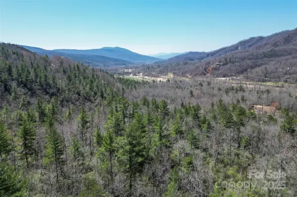 V/L Deer LN, Marion, NC 28752