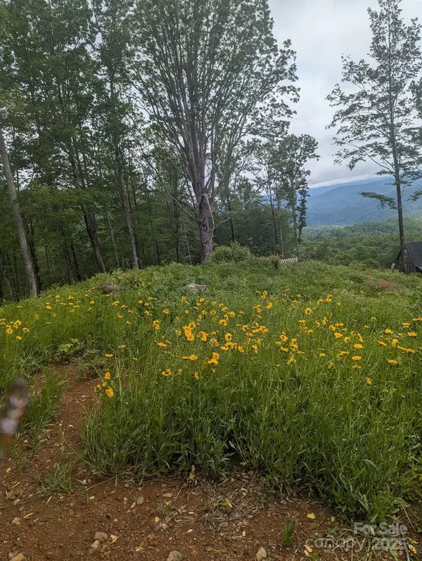 261 Nicholas Knoll RD, Bakersville, NC 28705