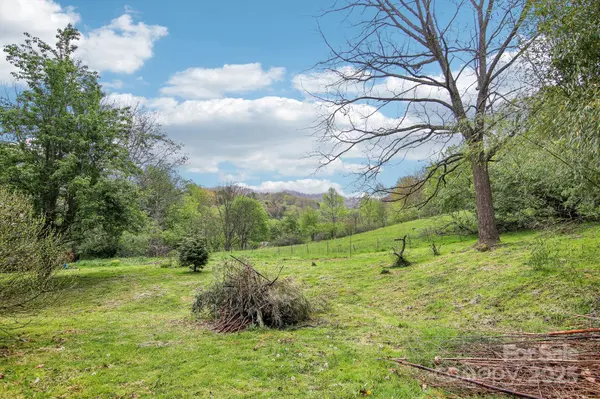 1064 Water Wheel CV, Clyde, NC 28721