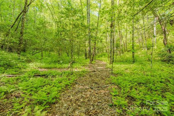 TBD Richland Ridge RD, Lake Toxaway, NC 28747