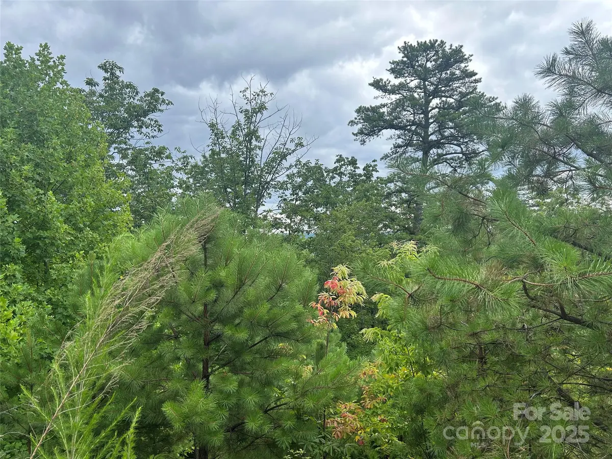 tbd Lobelia LN #72, Boone, NC 28607