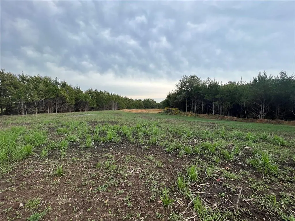 TBD SE 300 RD, Tightwad, MO 64735