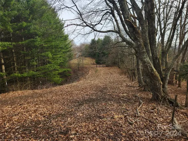 001 Laurel Highlands DR, Grassy Creek, NC 28617