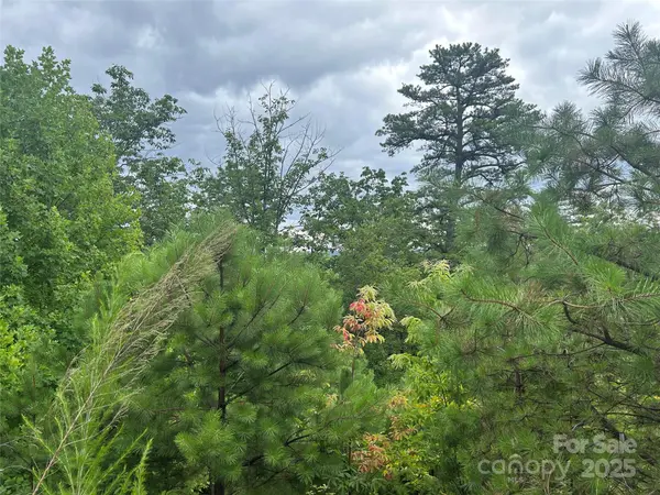 tbd Lobelia LN #72,  Boone,  NC 28607