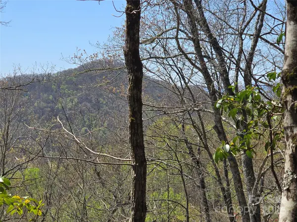 0 Pioneer TRL #389, Franklin, NC 28734