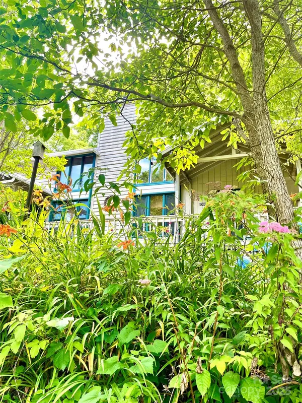 1090 Woolyshot Branch RD, Hot Springs, NC 28743